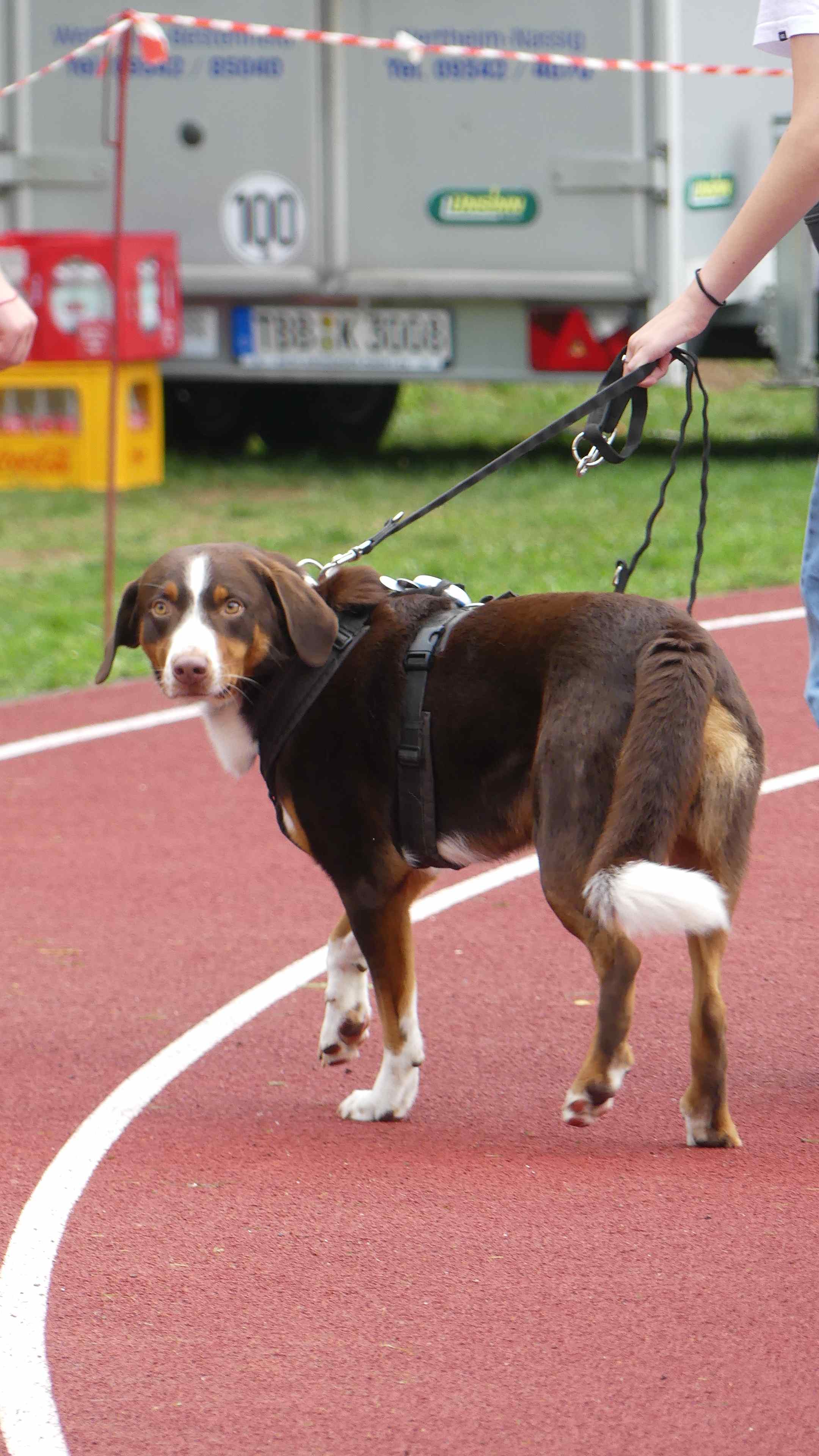 Bild vom 15. Benefizlauf im Jahr 2025. Dies ist das 444. Bild.